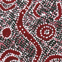 Aboriginal Artwork by Katrina Nampijinpa Brown, Watiya-warnu Jukurrpa (Seed Dreaming), 30x30cm
