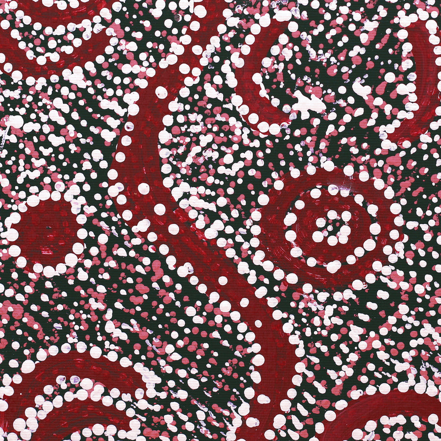 Aboriginal Artwork by Katrina Nampijinpa Brown, Watiya-warnu Jukurrpa (Seed Dreaming), 30x30cm