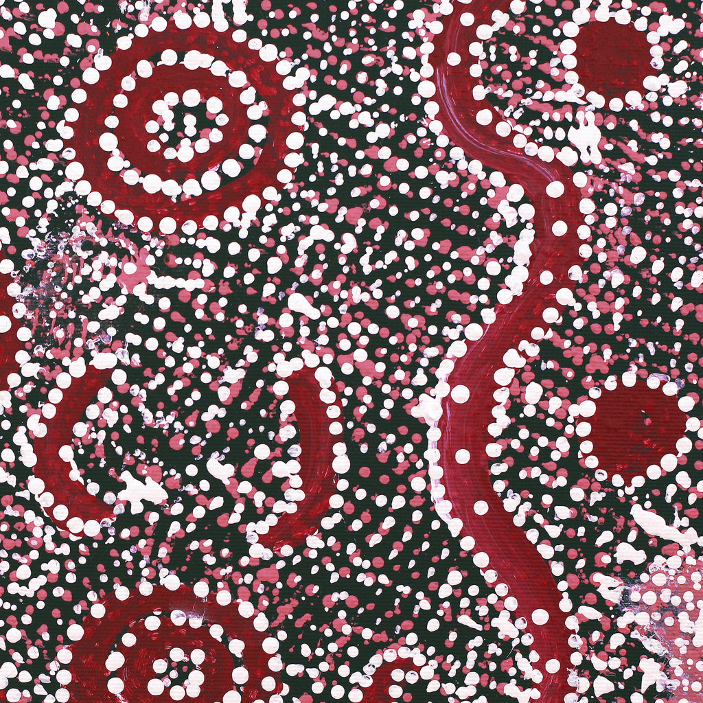 Aboriginal Artwork by Katrina Nampijinpa Brown, Watiya-warnu Jukurrpa (Seed Dreaming), 30x30cm