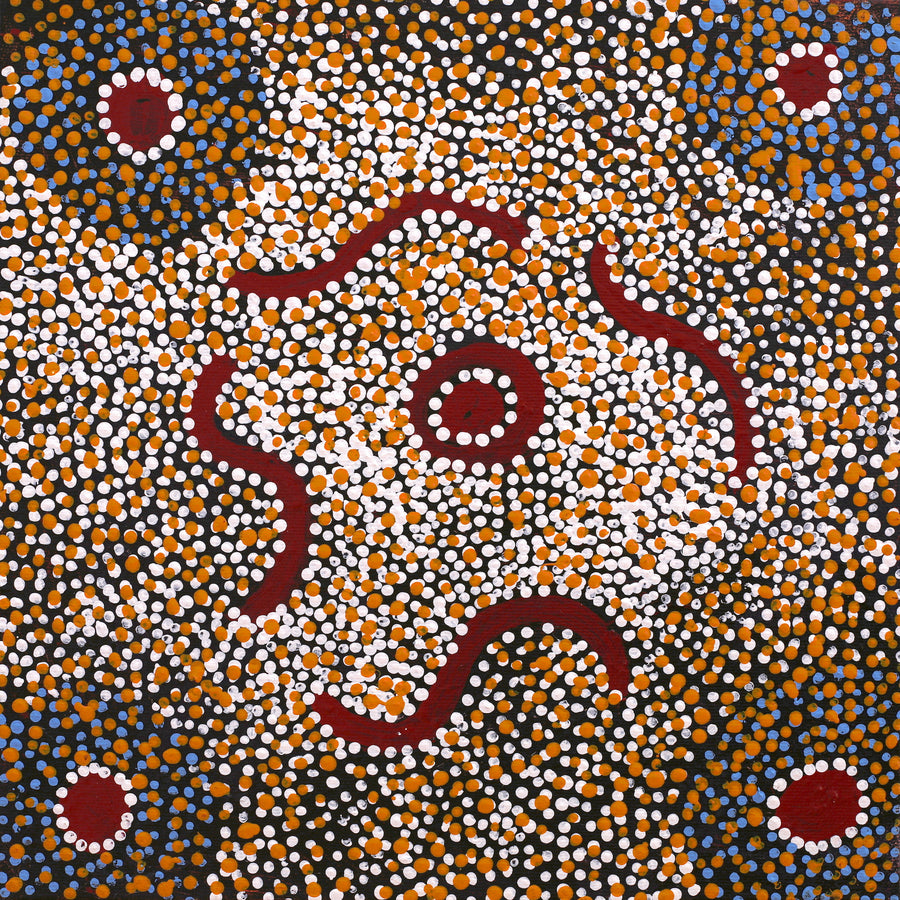 Aboriginal Artwork by Katrina Nampijinpa Brown, Watiya-warnu Jukurrpa (Seed Dreaming), 30x30cm