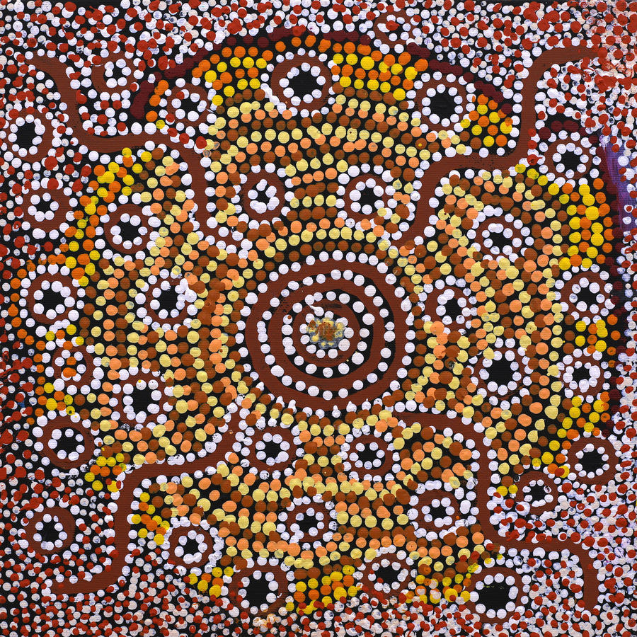 Aboriginal Artwork by Katrina Nampijinpa Brown, Watiya-warnu Jukurrpa (Seed Dreaming), 30x30cm
