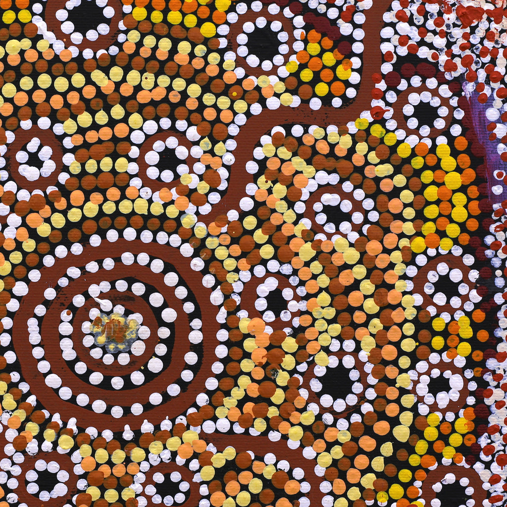Aboriginal Artwork by Katrina Nampijinpa Brown, Watiya-warnu Jukurrpa (Seed Dreaming), 30x30cm