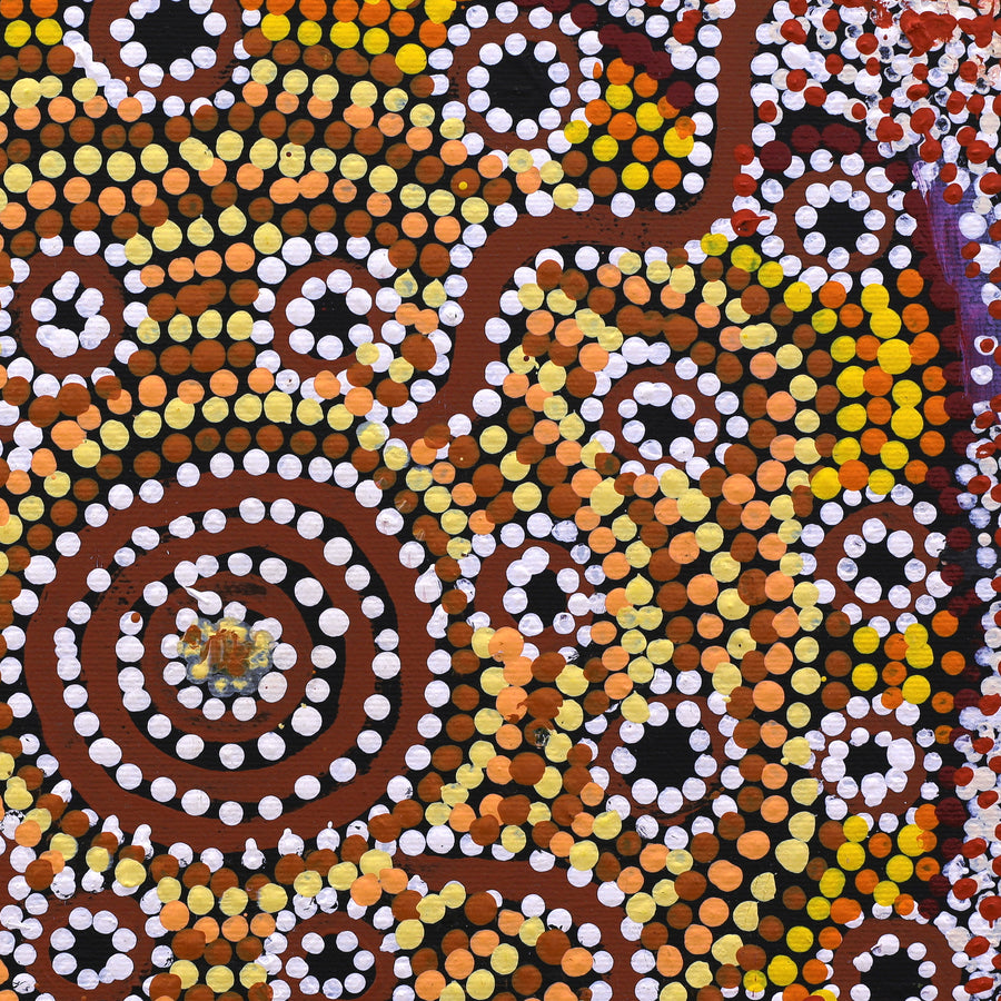 Aboriginal Artwork by Katrina Nampijinpa Brown, Watiya-warnu Jukurrpa (Seed Dreaming), 30x30cm