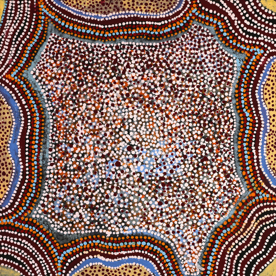 Aboriginal Artwork by Katrina Nampijinpa Brown, Watiya-warnu Jukurrpa (Seed Dreaming), 46x46cm