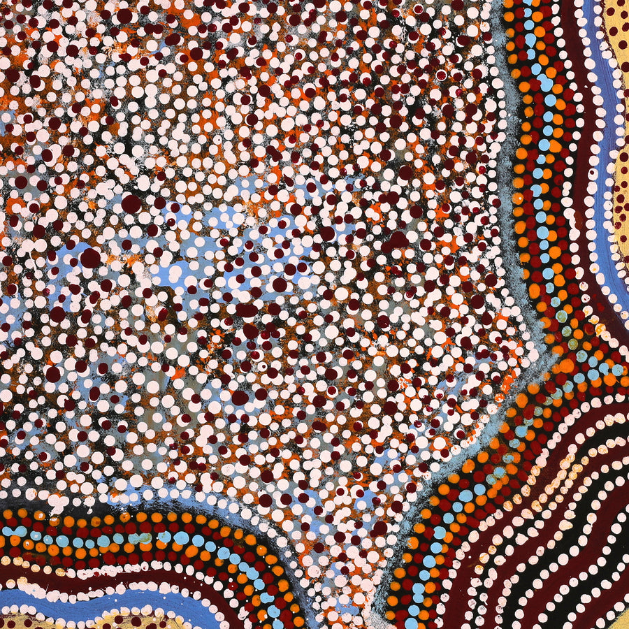 Aboriginal Artwork by Katrina Nampijinpa Brown, Watiya-warnu Jukurrpa (Seed Dreaming), 46x46cm