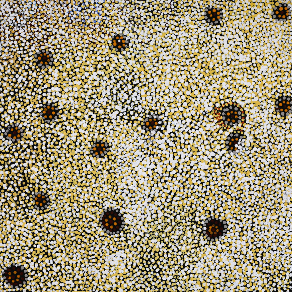 Aboriginal Art by Katrina Nampijinpa Brown, Watiya-warnu Jukurrpa (Seed Dreaming), 46x46cm - ART ARK®