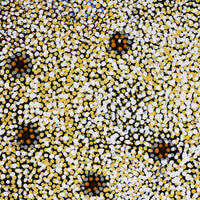 Aboriginal Artwork by Katrina Nampijinpa Brown, Watiya-warnu Jukurrpa (Seed Dreaming), 46x46cm