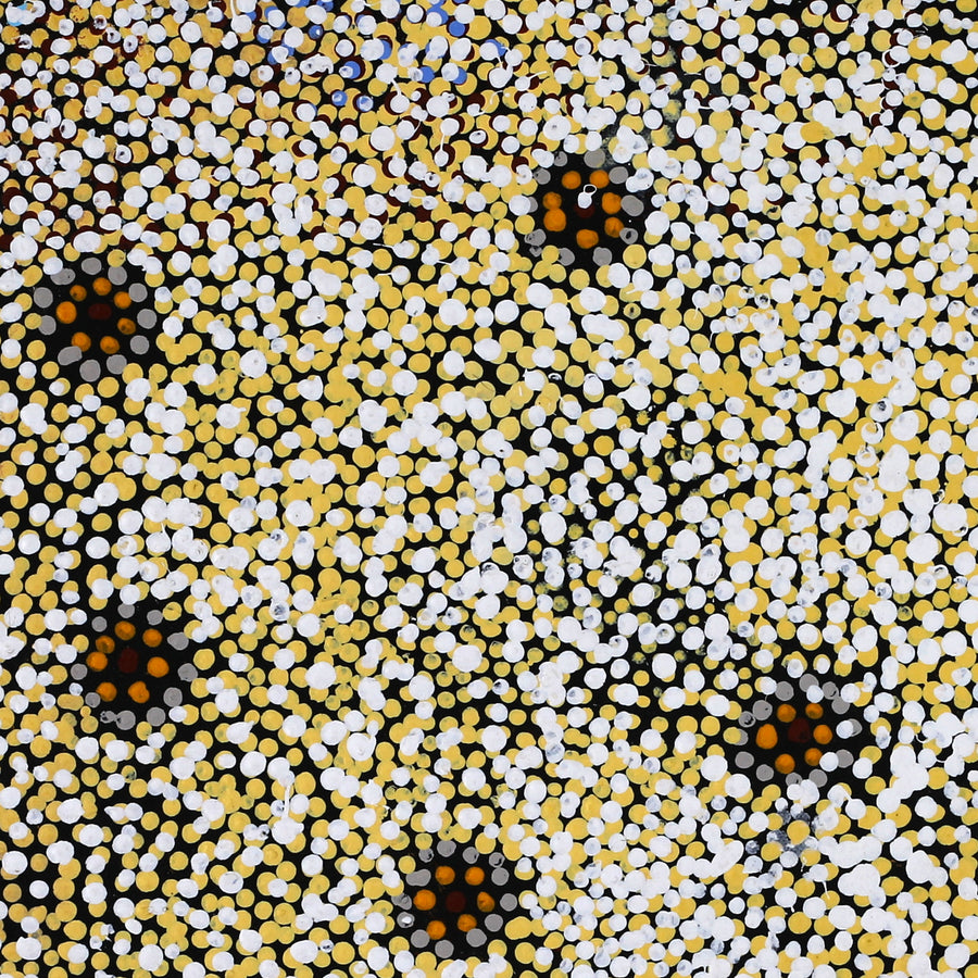 Aboriginal Artwork by Katrina Nampijinpa Brown, Watiya-warnu Jukurrpa (Seed Dreaming), 46x46cm