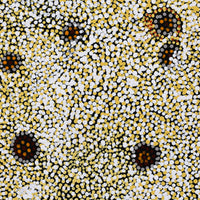 Aboriginal Artwork by Katrina Nampijinpa Brown, Watiya-warnu Jukurrpa (Seed Dreaming), 46x46cm