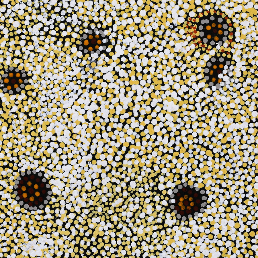 Aboriginal Artwork by Katrina Nampijinpa Brown, Watiya-warnu Jukurrpa (Seed Dreaming), 46x46cm