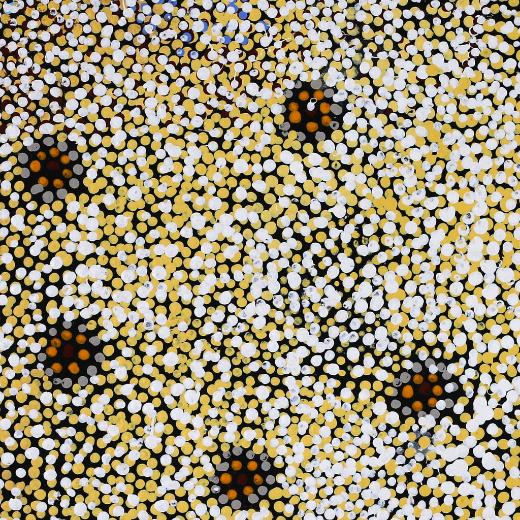 Aboriginal Art by Katrina Nampijinpa Brown, Watiya-warnu Jukurrpa (Seed Dreaming), 46x46cm - ART ARK®