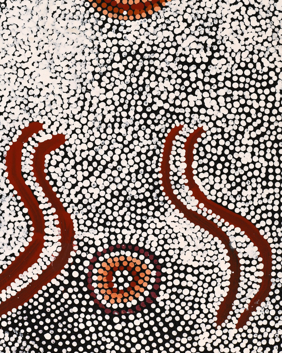 Aboriginal Artwork by Katrina Nampijinpa Brown, Watiya-warnu Jukurrpa (Seed Dreaming), 61x30cm