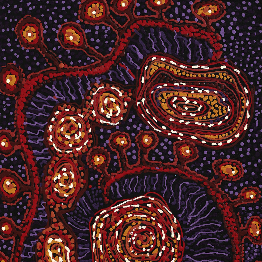 Aboriginal Artwork by Katrina Tjitayi, Kaliny-Kalinypa, 60x30cm