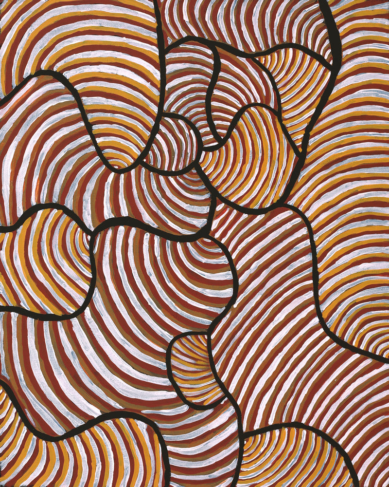 Aboriginal Artwork by Kaylisha Napaljarri Ross, Ngatijirri Jukurrpa (Budgerigar Dreaming), 50x40cm