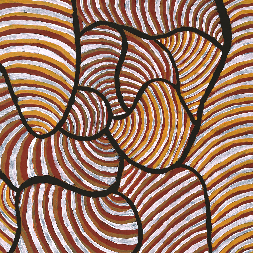 Aboriginal Artwork by Kaylisha Napaljarri Ross, Ngatijirri Jukurrpa (Budgerigar Dreaming), 50x40cm - ART ARK®