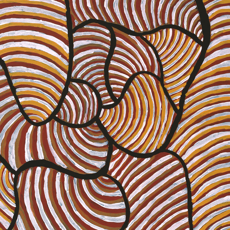 Aboriginal Artwork by Kaylisha Napaljarri Ross, Ngatijirri Jukurrpa (Budgerigar Dreaming), 50x40cm