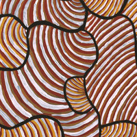 Aboriginal Artwork by Kaylisha Napaljarri Ross, Ngatijirri Jukurrpa (Budgerigar Dreaming), 50x40cm