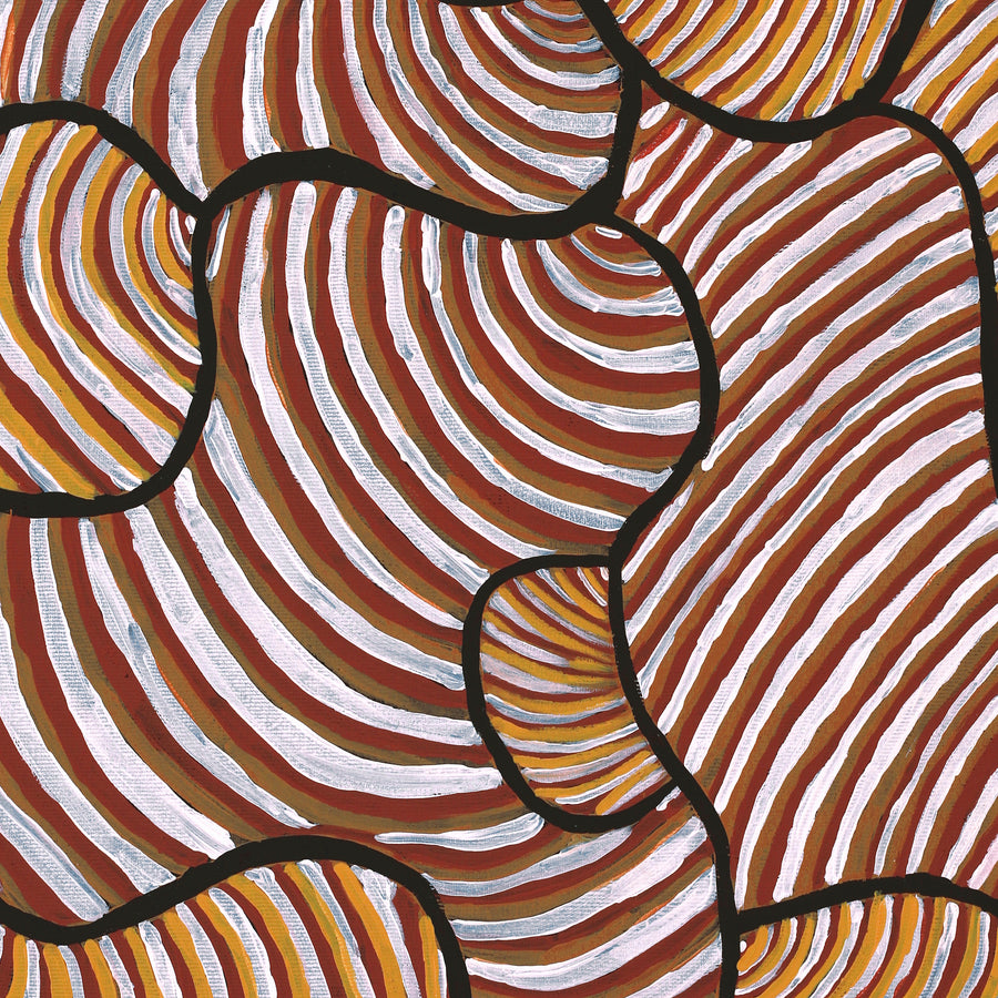 Aboriginal Artwork by Kaylisha Napaljarri Ross, Ngatijirri Jukurrpa (Budgerigar Dreaming), 50x40cm