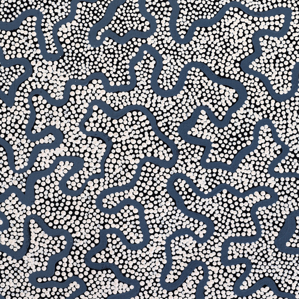 Aboriginal Artwork by Kelly-Anne Nungarrayi Gibson, Ngapa Jukurrpa (Water Dreaming) - Puyurru, 91x46cm