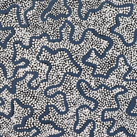 Aboriginal Artwork by Kelly-Anne Nungarrayi Gibson, Ngapa Jukurrpa (Water Dreaming) - Puyurru, 91x46cm