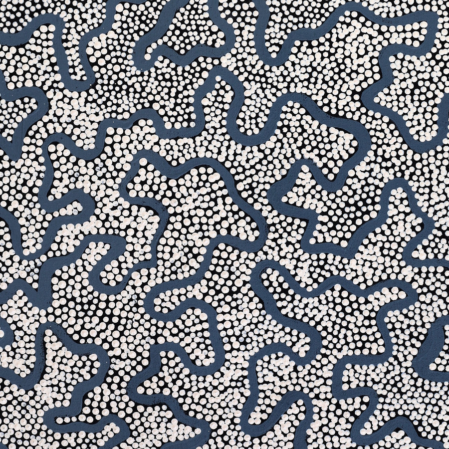 Aboriginal Artwork by Kelly-Anne Nungarrayi Gibson, Ngapa Jukurrpa (Water Dreaming) - Puyurru, 91x46cm