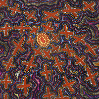 Aboriginal Artwork by Kershini Napaljarri Collins, Ngatijirri Jukurrpa (Budgerigar Dreaming), 107x46cm