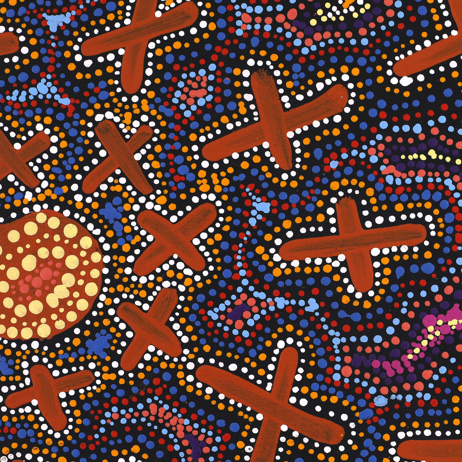 Aboriginal Artwork by Kershini Napaljarri Collins, Ngatijirri Jukurrpa (Budgerigar Dreaming), 107x46cm