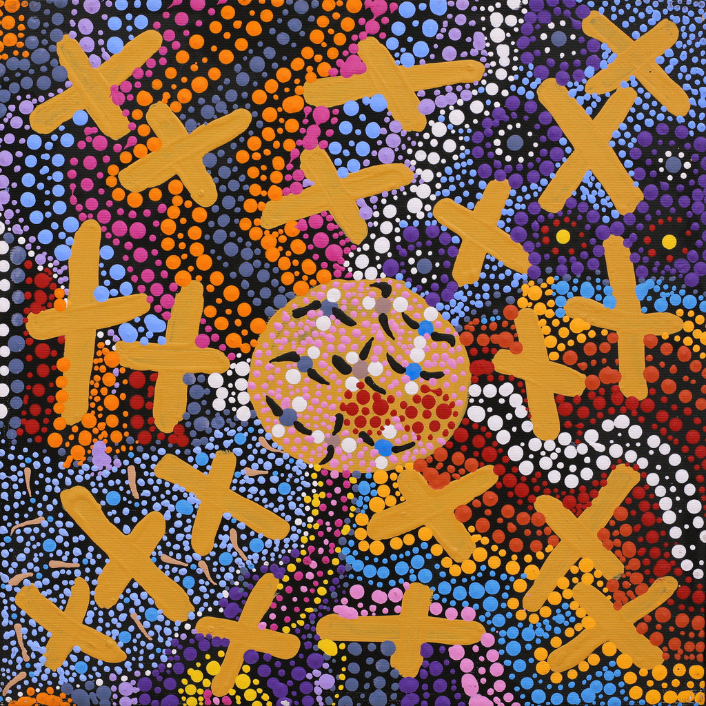 Aboriginal Artwork by Kershini Napaljarri Collins, Ngatijirri Jukurrpa (Budgerigar Dreaming), 30x30cm