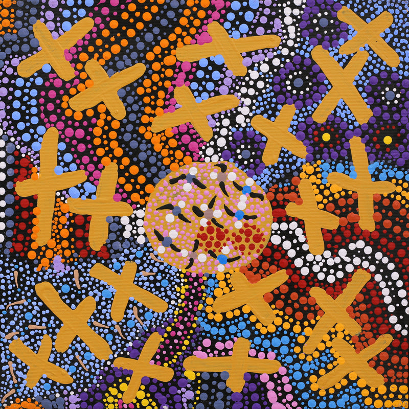 Aboriginal Artwork by Kershini Napaljarri Collins, Ngatijirri Jukurrpa (Budgerigar Dreaming), 30x30cm