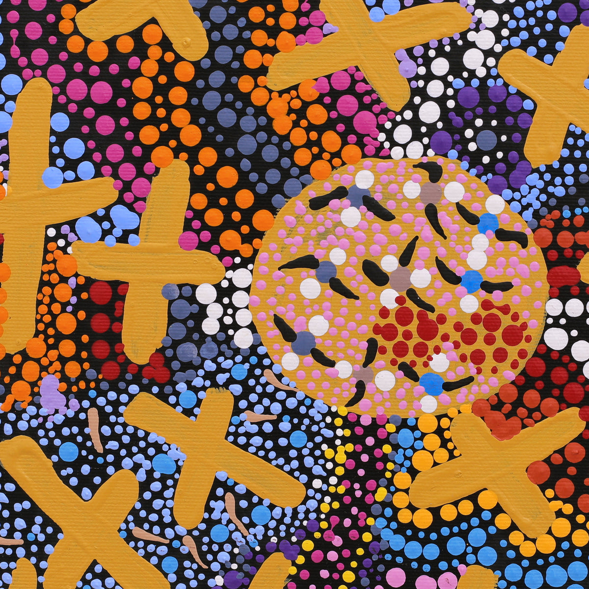 Aboriginal Artwork by Kershini Napaljarri Collins, Ngatijirri Jukurrpa (Budgerigar Dreaming), 30x30cm