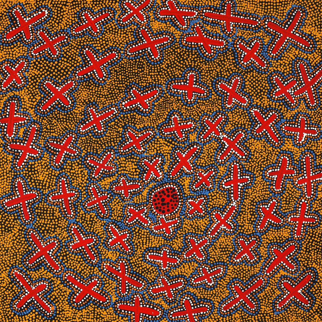 Aboriginal Artwork by Kershini Napaljarri Collins, Ngatijirri Jukurrpa (Budgerigar Dreaming), 61x61cm