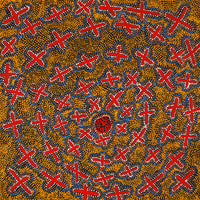 Aboriginal Artwork by Kershini Napaljarri Collins, Ngatijirri Jukurrpa (Budgerigar Dreaming), 61x61cm