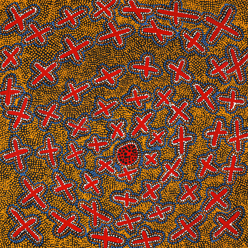 Aboriginal Artwork by Kershini Napaljarri Collins, Ngatijirri Jukurrpa (Budgerigar Dreaming), 61x61cm