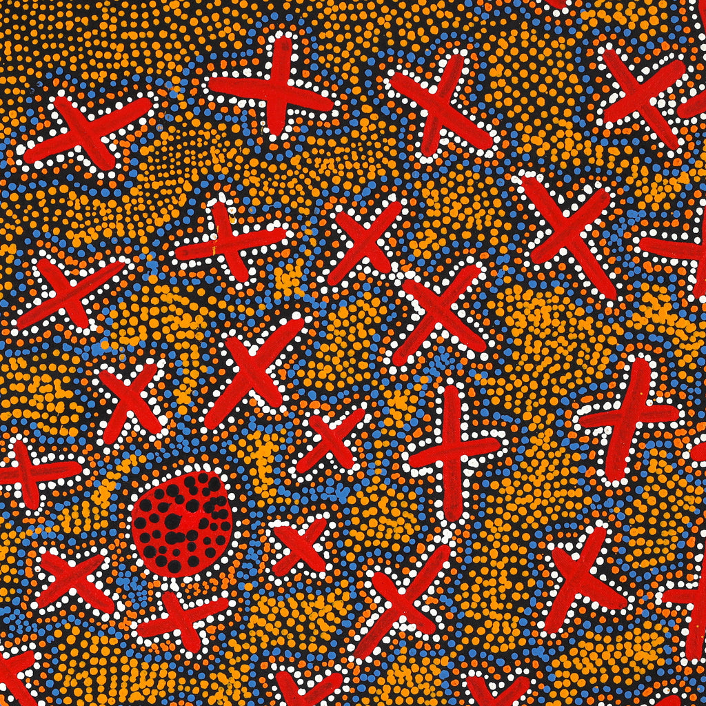Aboriginal Artwork by Kershini Napaljarri Collins, Ngatijirri Jukurrpa (Budgerigar Dreaming), 61x61cm