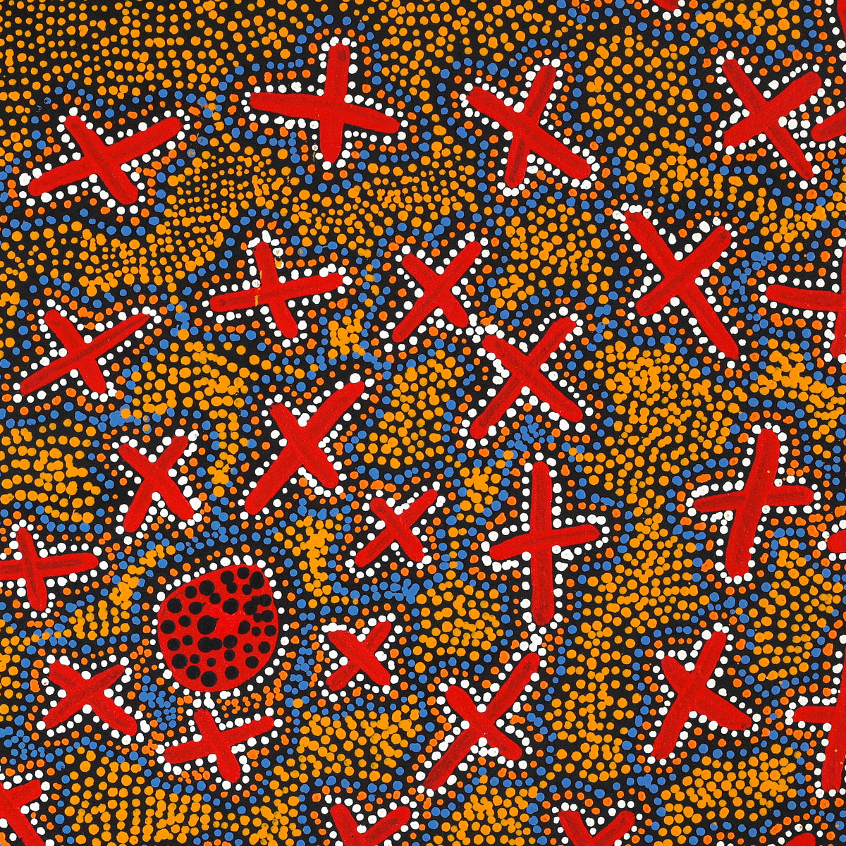 Aboriginal Artwork by Kershini Napaljarri Collins, Ngatijirri Jukurrpa (Budgerigar Dreaming), 61x61cm