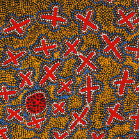 Aboriginal Artwork by Kershini Napaljarri Collins, Ngatijirri Jukurrpa (Budgerigar Dreaming), 61x61cm