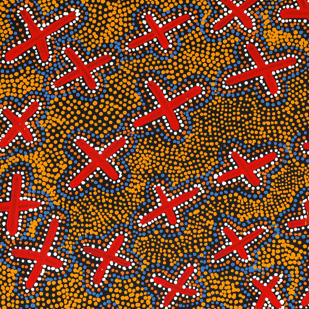 Aboriginal Artwork by Kershini Napaljarri Collins, Ngatijirri Jukurrpa (Budgerigar Dreaming), 61x61cm