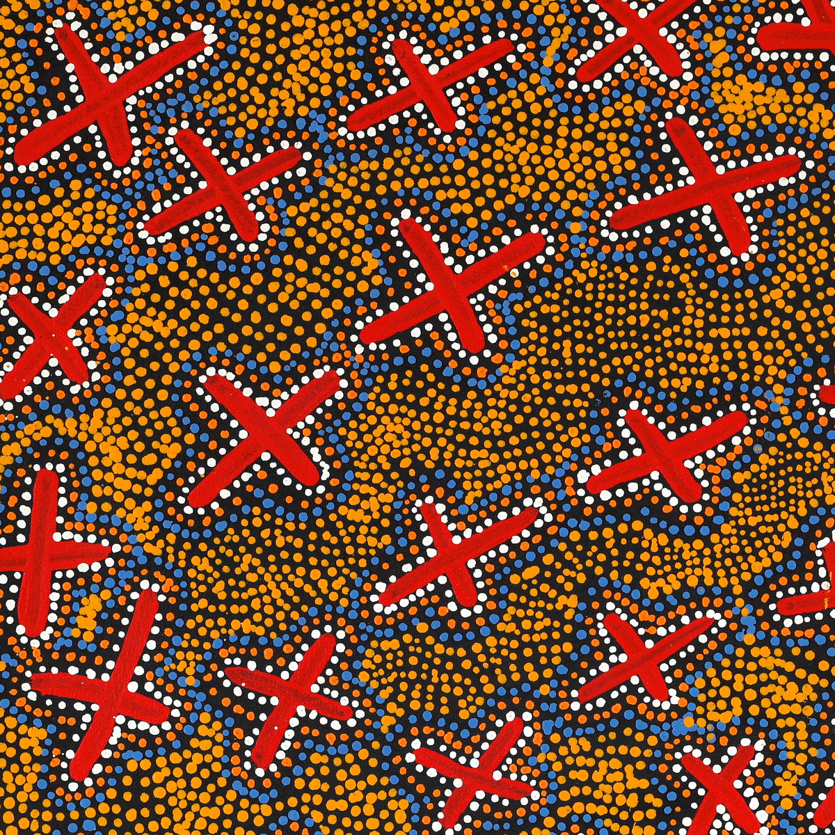 Aboriginal Artwork by Kershini Napaljarri Collins, Ngatijirri Jukurrpa (Budgerigar Dreaming), 61x61cm