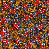 Aboriginal Artwork by Kershini Napaljarri Collins, Ngatijirri Jukurrpa (Budgerigar Dreaming), 61x61cm