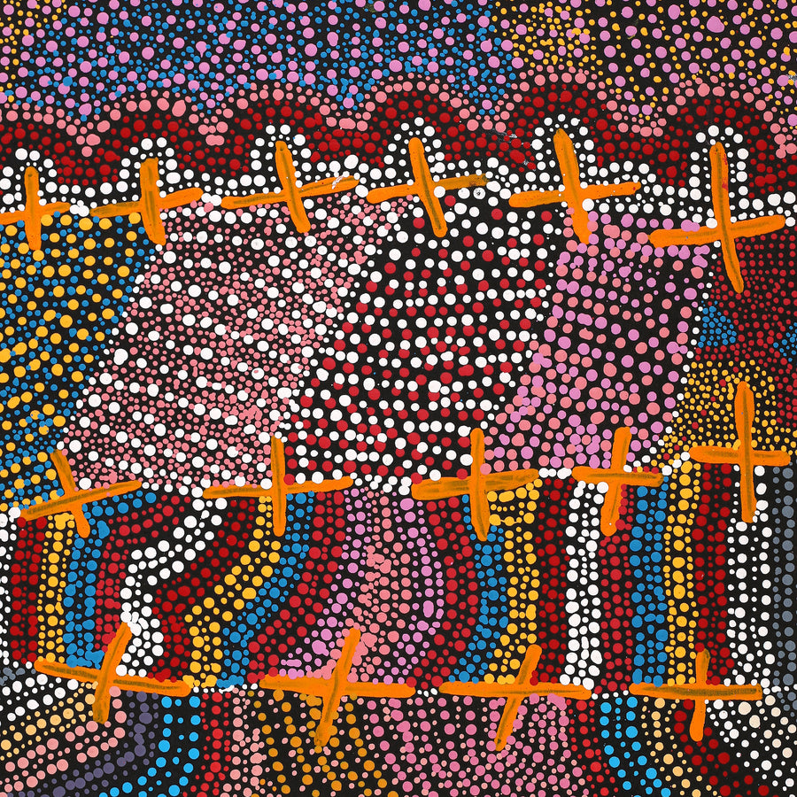 Aboriginal Artwork by Kershini Napaljarri Collins, Ngatijirri Jukurrpa (Budgerigar Dreaming), 76x46cm