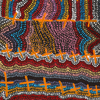 Aboriginal Artwork by Kershini Napaljarri Collins, Ngatijirri Jukurrpa (Budgerigar Dreaming), 76x46cm