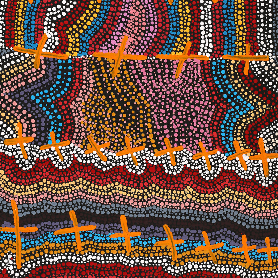 Aboriginal Artwork by Kershini Napaljarri Collins, Ngatijirri Jukurrpa (Budgerigar Dreaming), 76x46cm