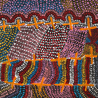 Aboriginal Art by Kershini Napaljarri Collins, Ngatijirri Jukurrpa (Budgerigar Dreaming), 76x46cm - ART ARK®