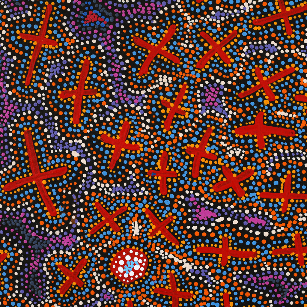 Aboriginal Artwork by Kershini Napaljarri Collins, Ngatijirri Jukurrpa (Budgerigar Dreaming), 91x91cm