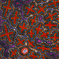 Aboriginal Artwork by Kershini Napaljarri Collins, Ngatijirri Jukurrpa (Budgerigar Dreaming), 91x91cm