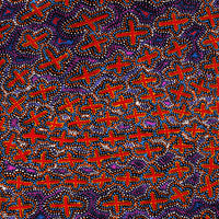 Aboriginal Artwork by Kershini Napaljarri Collins, Ngatijirri Jukurrpa (Budgerigar Dreaming), 91x91cm