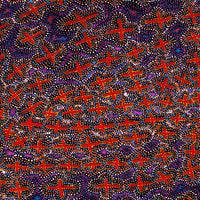 Aboriginal Art by Kershini Napaljarri Collins, Ngatijirri Jukurrpa (Budgerigar Dreaming), 91x91cm - ART ARK®