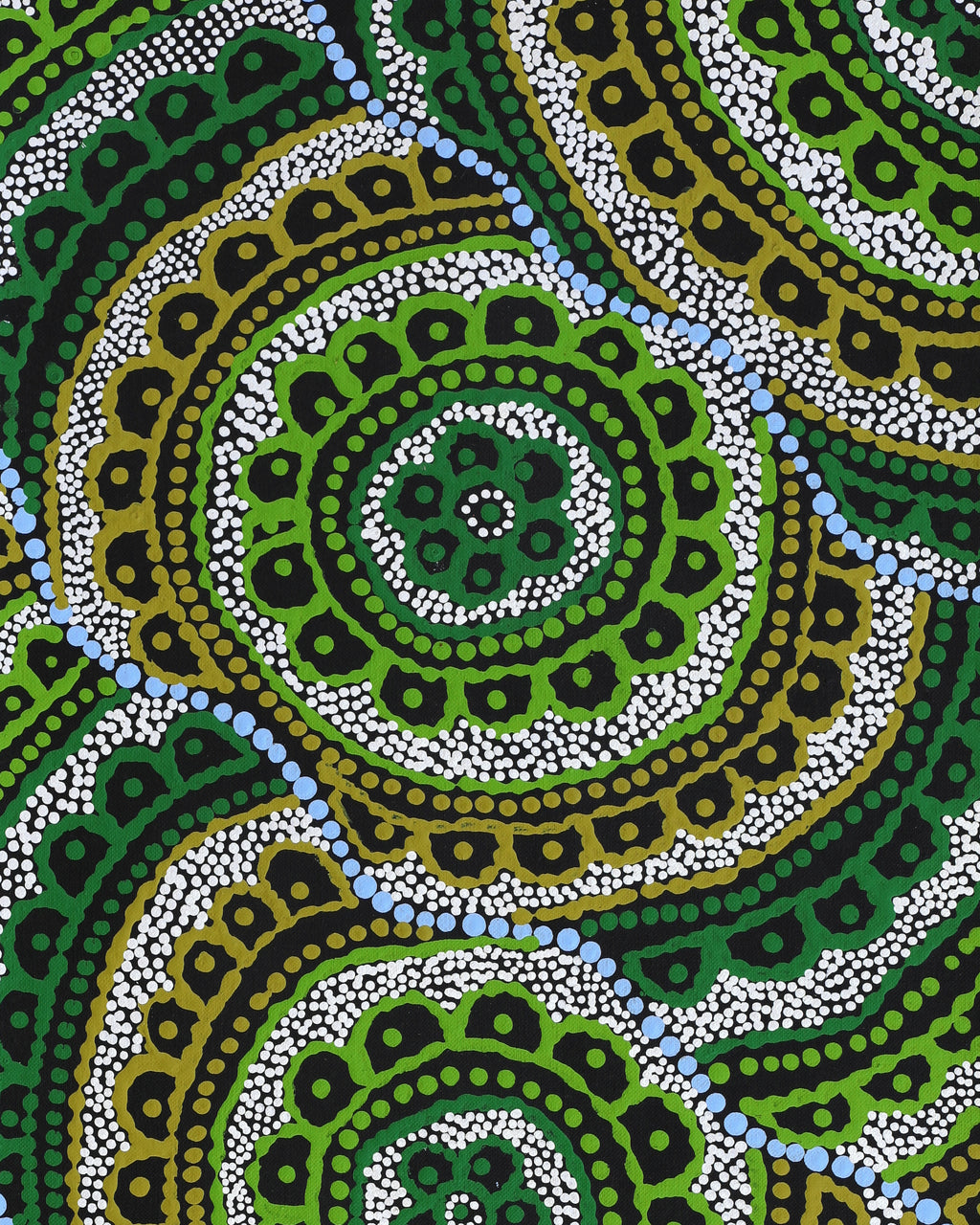 Aboriginal Artwork by Kirsty-Anne Napanangka Martin, Ngalyipi Jukurrpa (Snakevine Dreaming) - Mina Mina, 76x30cm