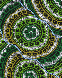 Aboriginal Artwork by Kirsty-Anne Napanangka Martin, Ngalyipi Jukurrpa (Snakevine Dreaming) - Mina Mina, 76x30cm