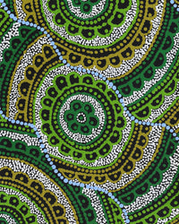 Aboriginal Artwork by Kirsty-Anne Napanangka Martin, Ngalyipi Jukurrpa (Snakevine Dreaming) - Mina Mina, 76x30cm